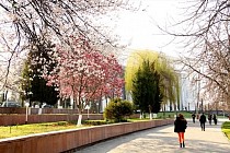 Чоршанба куни бутун Ўзбекистон ҳудудида янада иссиқроқ бўлади