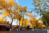 На всей территории Узбекистана прогнозируется погода без осадков