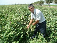 Сенат Фермер хўжаликларини кўптармоқли хўжаликларга айлантириш дастурини маъқуллади