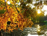 Пайшанба куни Қашқадарё ва Сурхандарё вилоятларида ҳаво ҳарорати 37 даражагача қизийди 