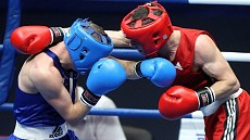 В Самарканде определили чемпионов республики по боксу