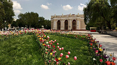 В пятницу лишь в Каракалпакстане и трех областях Узбекистана установится погода без осадков 
