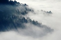 Синоптиклар жума куни бутун Ўзбекистон ҳудудида туманли ва булутли об-ҳаво бўлишини прогноз қилишмоқда  