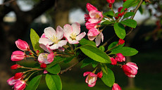 На всей территории Узбекистана установится погода без осадков в субботу