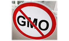 Ўзбекистонда болалар озиқ-овқатларида ГМО таъқиқланди