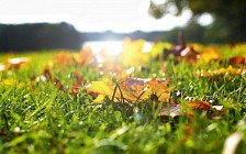 Шанба куни бутун Ўзбекистон ҳудудида ёғингарчиликсиз об-ҳаво сақланиб қолади