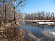 Почти на всей территории Узбекистана ожидается теплая погода без осадков