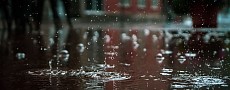 В среду лишь в Ферганской долине ожидаются дожди