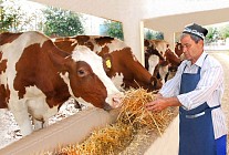 Сенат одобрил Программу преобразования фермерских хозяйств в многопрофильные