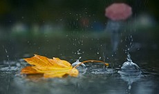 Душанба куни Тошкент ва Тошкент вилоятида бироз ёмғир ёғиши кутилади