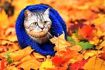 В понедельник на всей территории Узбекистана прогнозируется резкое понижение температуры