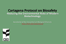В Узбекистане вступил в силу Картахенский протокол по биобезопасности