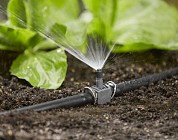 Ўзбекистон фермерларга сувни тежовчи технологиялардан фойдаланган ҳолда субсидиялар ажратади