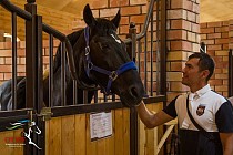 Фарғонада янги от мажмуи очилди