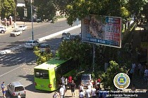 Тошкентда автобуснинг дарахт билан тўқнашуви оқибатида тўққиз киши жабрланди