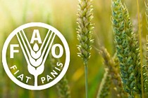 Ўзбекистон FAO минтақавий конференциясини биринчи марта қабул қилади