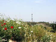 Чоршанба бутун Ўзбекистон ҳудудида ҳароратнинг пасайиши прогноз қилинмоқда  