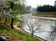 Во вторник погода без осадков прогнозируется только в Каракалпакстане и Хорезмской области