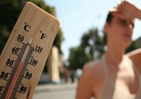 В понедельник на всей территории Узбекистана температура воздуха прогреется до 40 градусов