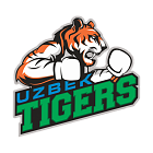 Команда Uzbek Tigers встретится на ринге с кубинцами