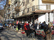 В понедельник на всей территории Узбекистана прогнозируется теплая погода