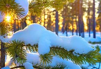 Погода без осадков установится на всей территории Узбекистана в понедельник