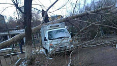 На севере Таджикистана пока полностью не устранены последствия шквалистого ветра