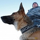 «Узбекистон хаво йуллари» предупреждает о последствиях нарушения режима пребывания в России