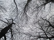 В нескольких областях Узбекистана в воскресенье установится погода без осадков