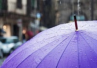 Чоршанба куни Ўзбекистоннинг баъзи вилоятларида ёмғир ёғиши кутилмоқда