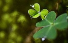 Китай создает платформу для контроля за «красными линиями» экологически важных территорий 