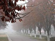 В среду на большей части территории Узбекистана ожидается дождливая погода