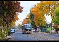 Чоршанба куни деярли бутун Ўзбекистон ҳудудида 30 даража иссиқ бўлиши прогноз қилинмоқда