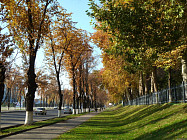 Почти на всей территории Узбекистана температура воздуха приблизится к 30-градусной отметке в понедельник