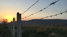 На кыргызско-узбекской границе задержан контрабандный груз