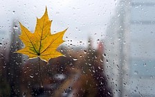 Чоршанба куни Ўзбекистон ҳудудининг катта кўпчилик вилоятларида ёмғир ёғиши кутилмоқда