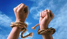 Сенат Узбекистана принял постановление об амнистии