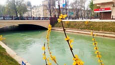 Пайшанба кунидан бошлаб бутун Ўзбекистон ҳудудида ҳарорат яна кўтарилади 