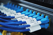 Экономический эффект от цифровизации АПК в Казахстане составит порядка Т40 млрд до 2025 года