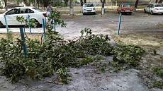 На всей территории Узбекистана во вторник ожидается сильный ветер