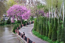 Пайшанба куни бутун Ўзбекистон ҳудудида ёмғир ёғиши кутилмаяпти 