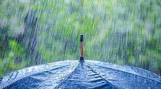 Усиление ветра и кратковременные дожди ожидаются в Каракалпакстане и Хорезмской области в среду