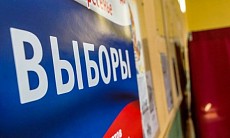 В России озвучили данные о предполагаемой явке на президентские выборы