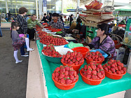 В понедельник на всей территории Узбекистана ожидается небольшое понижение средней температуры
