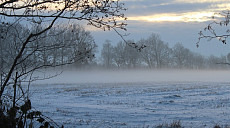 В нескольких областях Узбекистана в пятницу прогнозируются осадки и туман
