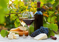 В Узбекистане разработают пятилетнюю программу по ускоренному развитию виноградарства и переработки винограда