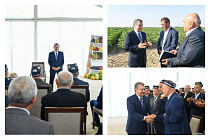 Мирзиеев побеседовал с активом Сырдарьинской области