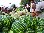Небольшое понижение температуры воздуха ожидается в некоторых областях Узбекистана в среду