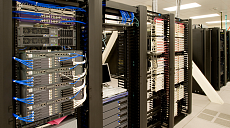 Страны СНГ усилят совместную борьбу с IT-преступлениями