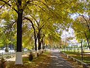 Душанба куни Қашқадарё ва Сурхандарё вилоятларида ҳаво ҳарорати 18 даражагача исийди